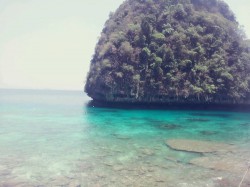 バンブー島